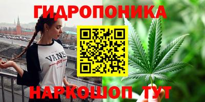 гидра Бийск