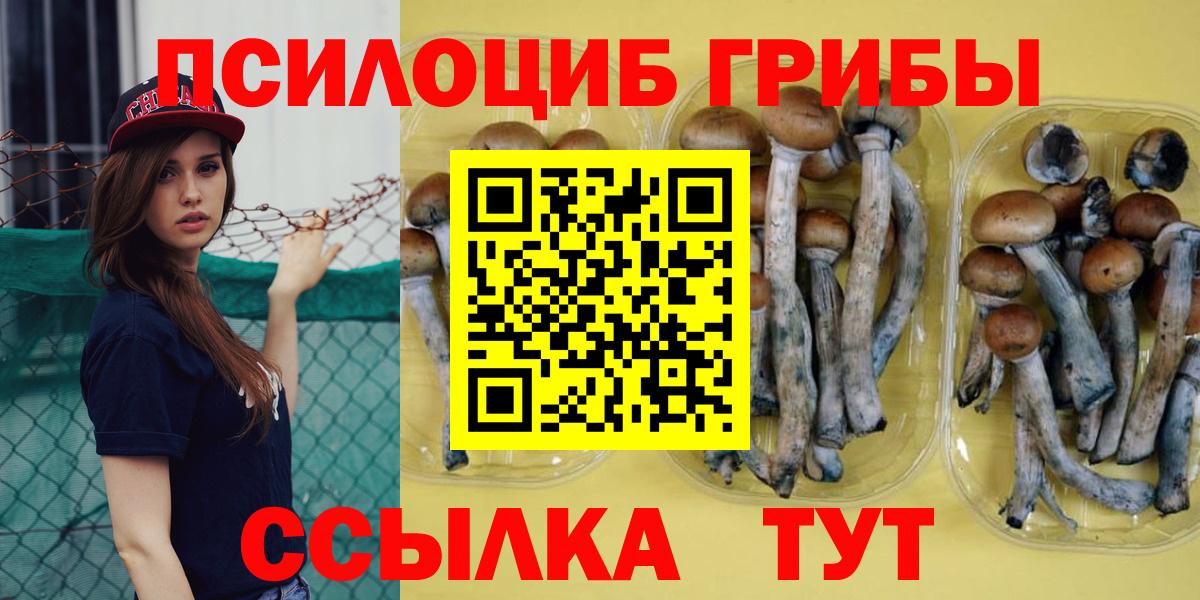 Коломна  Галлюциногенные грибы Cubensis  Вход с VPN 