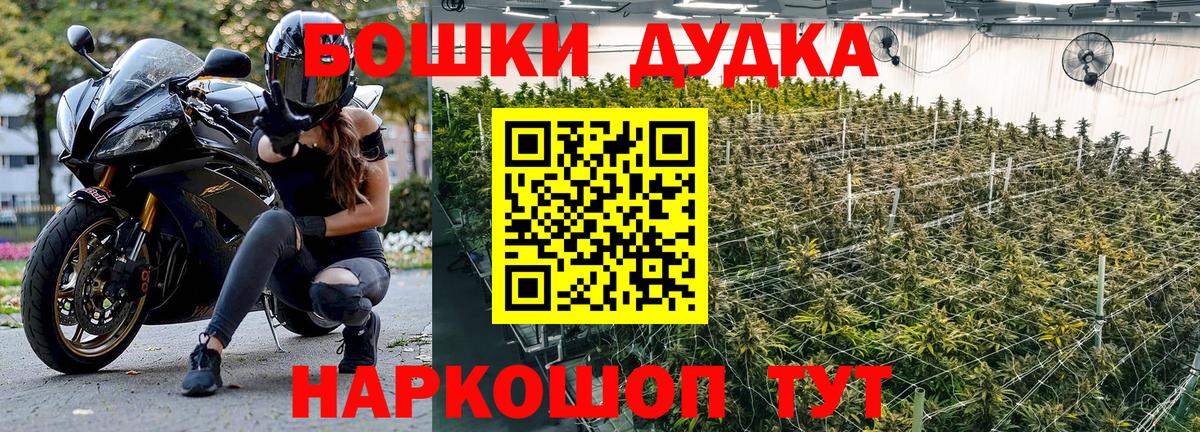 Бошки Шишки индика Коломна